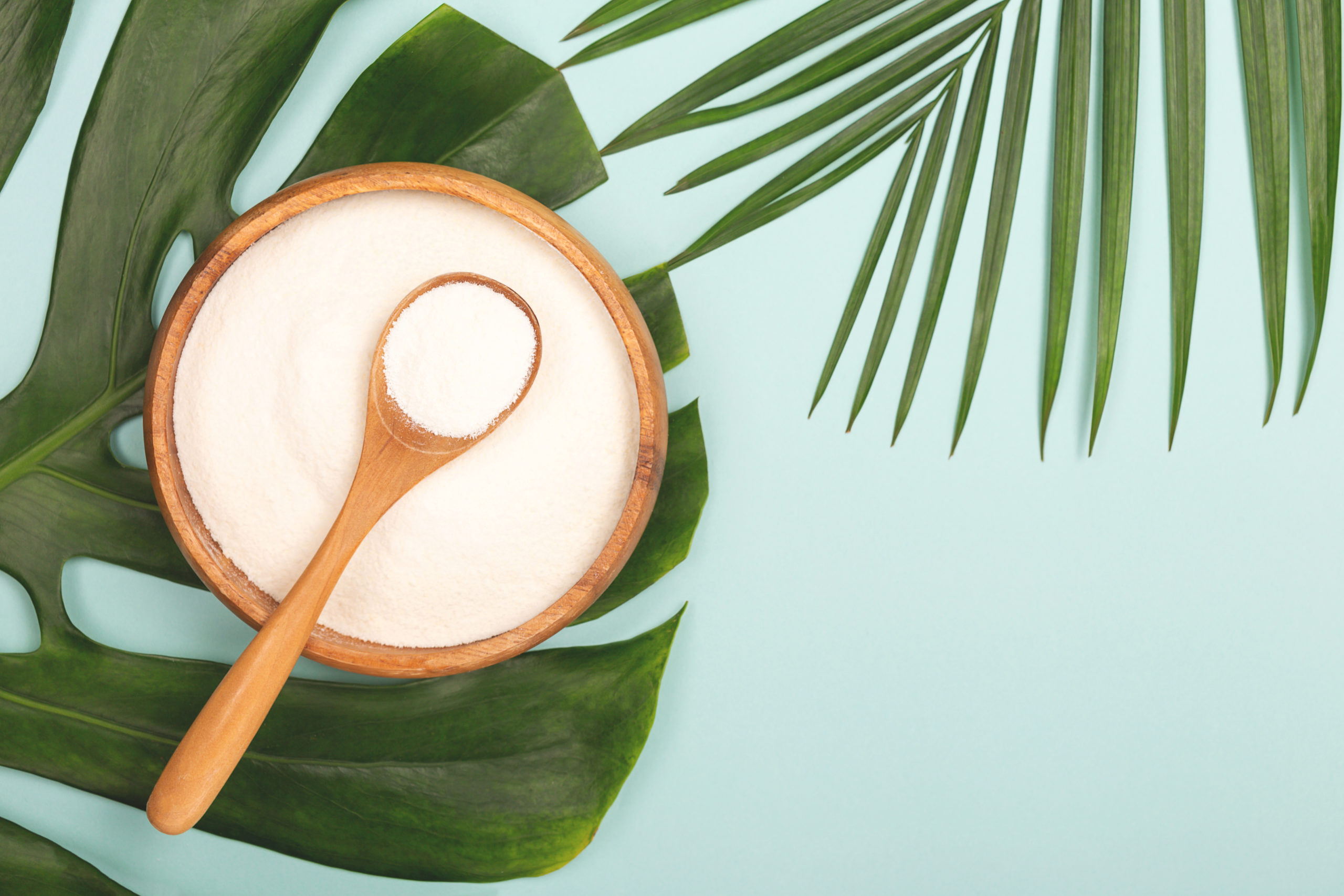 What is Collagen?